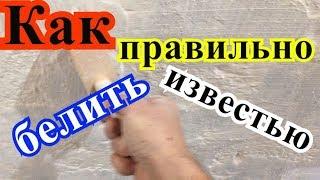 Как #правильно белить известью