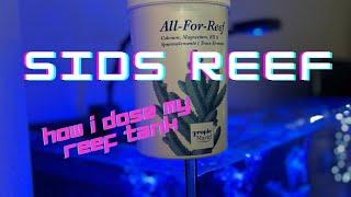 How I dose my tank with Tropic Marin All-for-Reef