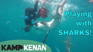 Swimming with Shark Addicts!