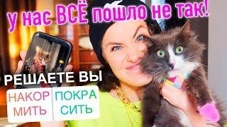 ДЕНЬ РОЖДЕНИЯ КИСЫ АЛИСЫ! ГОТОВЛЮ, НАРЯЖАЮ, ГУЛЯЮ С КОШКОЙ! ПОДПИСЧИКИ УПРАВЛЯЮТ ДНЁМ КОШКИ