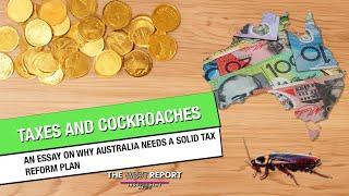 Cockroaches and tax lawyers| The West Report