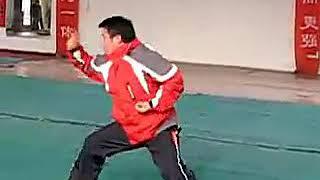 Tongbei Martial Arts - Baji Xiao Jia / small frame