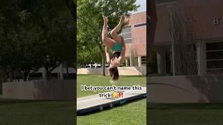 How many tries do you think it took to land?
