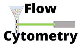 FLOW CYTOMETRY in 1 minute