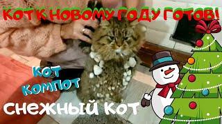 НОВОГОДНИЙ КОТ СНЕГОВИК | Поделись этим чудом с друзьями!|  Снежный КОТ