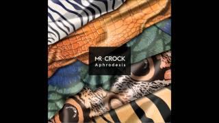 MR CROCK - Contrôle