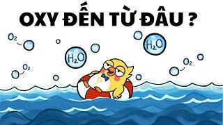 Bạn sẽ bất ngờ: 80% Oxy Trái Đất không đến từ cây cối!