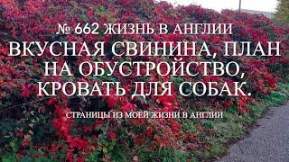 Вкусная свинина на обед. Лилли. Обустройство комнаты. Кровать для собак. № 662 Жизнь в Англии