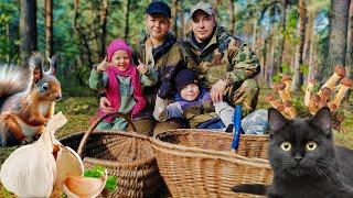 На ХУТОРЕ косим, а в ДЕРЕВНЕ сажаем. ПАХНЕТ ГРИБАМИ.