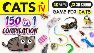 CAT TV - 150 in 1 Ultimate Compilation   Game for cats  10 HOURS 4K