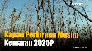 Kapan Perkiraan Musim Kemarau 2025 di Indonesia? Cek Jawaban BMKG | KONTAN News