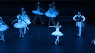 The 6th International Ballet Festival in the Kremlin. "Swan Lake". "Лебединое озеро".