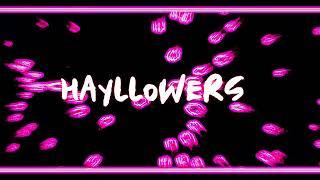 INTRO FOR @hayllowers 