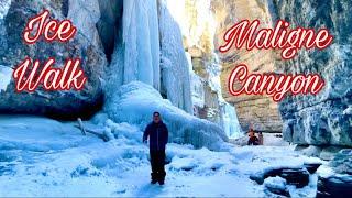 Ice Walk in Maligne Canyon // Jasper National Park