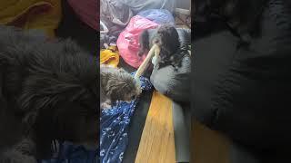 Skyler & Stormy
