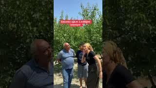Oyuna mı geldim