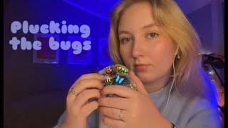 searching for bugs ASMR 