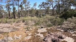 Yowie, Sasquatch, Hairyman - Growling that freaked me out 