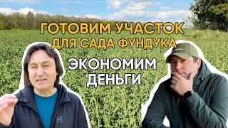 ГОТОВИМ УЧАСТОК ДЛЯ САДА ФУНДУКА И ЭКОНОМИМ ДЕНЬГИ