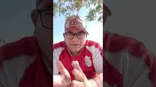 https://youtu.be/4oG9Qlt0-5s PALPITE DIA DO FRANCINALDO
