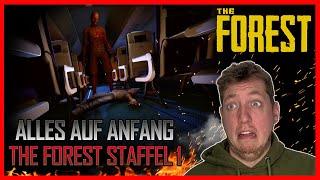 ALLES AUF ANFANG #1/ THE FOREST STAFFEL 1