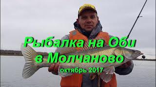 Рыбалка на Оби в Молчаново (ТО). Октябрь 2017.