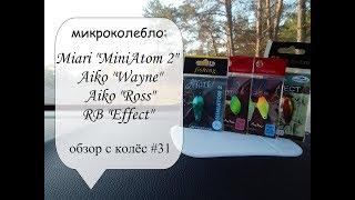 микроколебло: Miari MiniAtom 2, Aiko Ross и Wayne, RB Effect (обзор с колес #31)