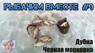 Глухозимье затянулось. Зимняя рыбалка. Дубна. Иваньковское водохранилище. Черная морковка. Шлагбаум.