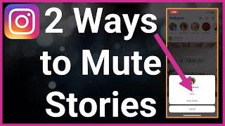 2 Ways To Mute Someone's Story On Instagram