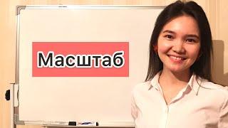 Математика 6 сынып: 1.8. Масштаб тақырыбы