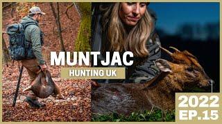 HUNTING MUNTJAC in the UK Who´s buck is bigger?  UNITED KINGDOM HUNTING Opportunities [2022 EP.15]