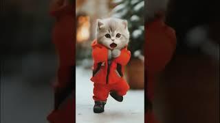 Cats dancing video #catdancing #cat #cute #catlover #catdancer #ytshorts #shorts