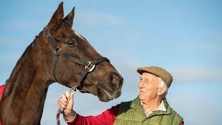 Alastair Down's celebration of Denman