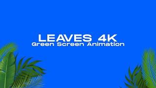 How We Made Realistic Animated Green Screen Leaves