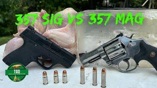 357 Sig VS 357 Mag Short Barrels Ballistic Chickens!