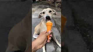 He loved the ice cream️ #shorts | Anant rastogi