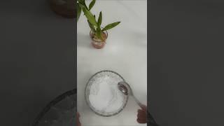 How to make mirror mosaic art paste @Manil87  #shorts #diy #voice #easydiy #mirror #art #paste