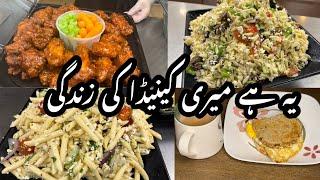 5 Am Morning Routine With 4 Kids | Pakistani Mom Early Morning Job Routine In Canada | Salad Recipe