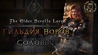 ИСТОРИЯ ГИЛЬДИИ ВОРОВ | СОЛОВЬИ НОКТЮРНАЛ | TES LORE