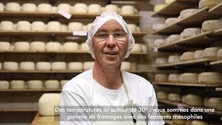 Fromage à pâte pressée non cuite { Rencontre didactique }