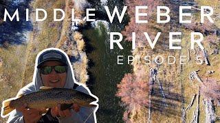 Rating Rivers Episode 5: Middle Weber River (Utah Fly Fishing)