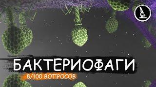 КАК ДЕЙСТВУЕТ БАКТЕРИОФАГ. ВИРУС УБИЙЦА ИЛИ СПАСИТЕЛЬ