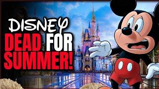 Disney World Attendance DROPPING for Summer 2025: See the Data for Magic Kingdom and MORE!