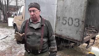 Абиссинка в Ивановской обл