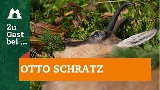 Gamsjagd in Tirol | Bergjagd | Zu Gast bei Otto Schratz | Österreich | Hegeabschuss | 6,5 Creedmoor