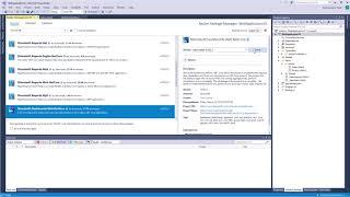 .NET Core Dashboard: First Run of Reports and Dashboards Designer [Shot on v2019]