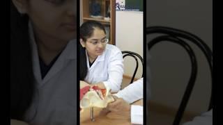 LIFE OF STUDENTS IN RUSSIA | STUDY MEDICINE IN RUSSIA | MBBS IN RUSSIA