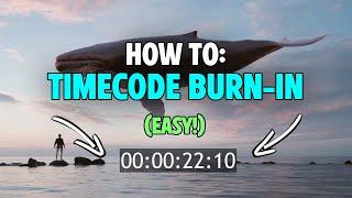 How to Add a Timecode in Premiere Pro 2024 | QUICK & EASY