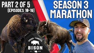 Cross Timbers Bison: SEASON 3 MARATHON! (Part 2 of 5)