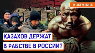 Казахов заставляли работать на свиноферме. Сколько казахстанцев в трудовом рабстве в России?